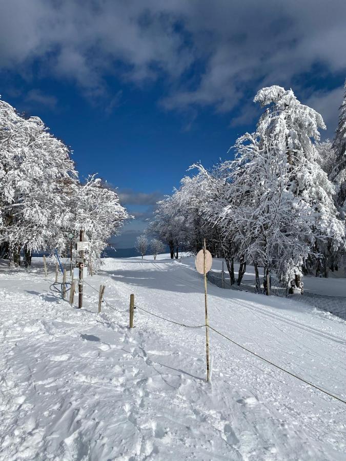 Les Reflets Du Lac Hotel Gerardmer Luaran gambar